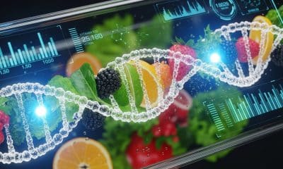 Ilustrasi konsep nutrisi genetik atlet yang menggabungkan analisis struktur DNA dengan asupan makanan sehat.