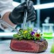 Ilustrasi masa depan industri pangan dengan daging kultur laboratorium yang menyajikan steak berkualitas tinggi.