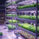 Interior pertanian vertikal (vertical farming) futuristik dengan lampu LED dan sistem robotik otomatis.